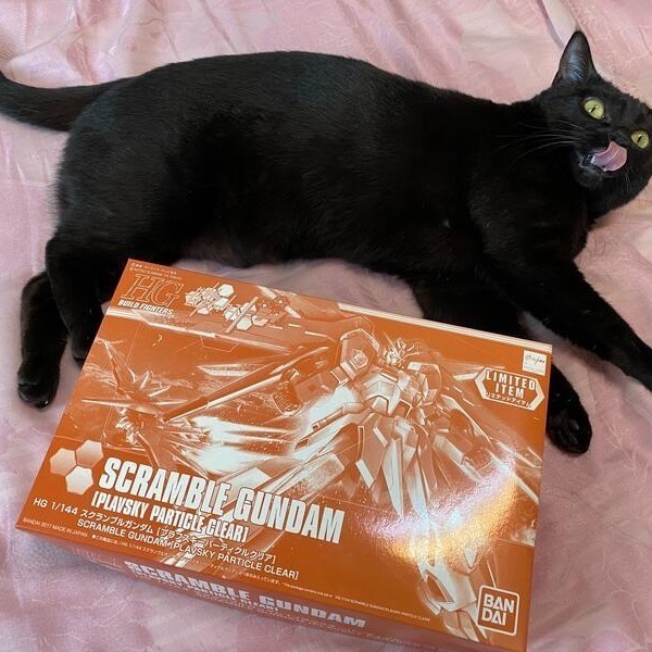 全新現貨未組[HG]限定 熾熱爭戰 Scramble gundam Plavsky粒子透明 BANDAI鋼彈-細節圖3