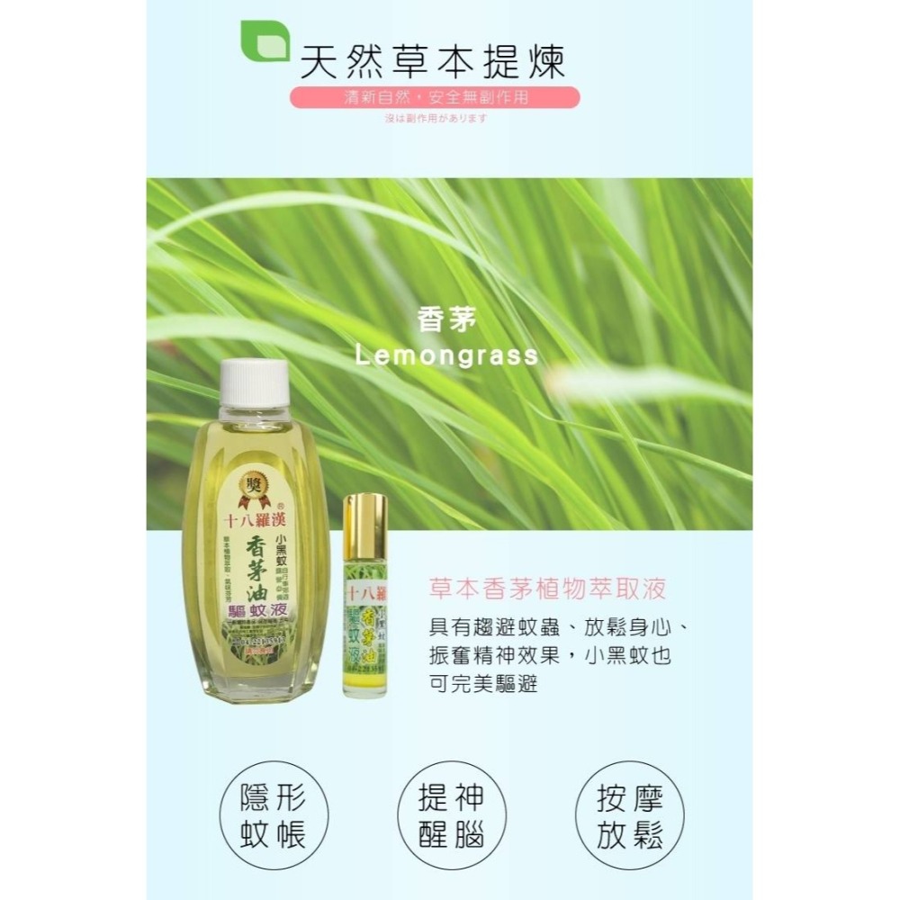 【十八羅漢】滾珠/噴霧精油系列10ML/100ML(薄荷/香茅)-細節圖6