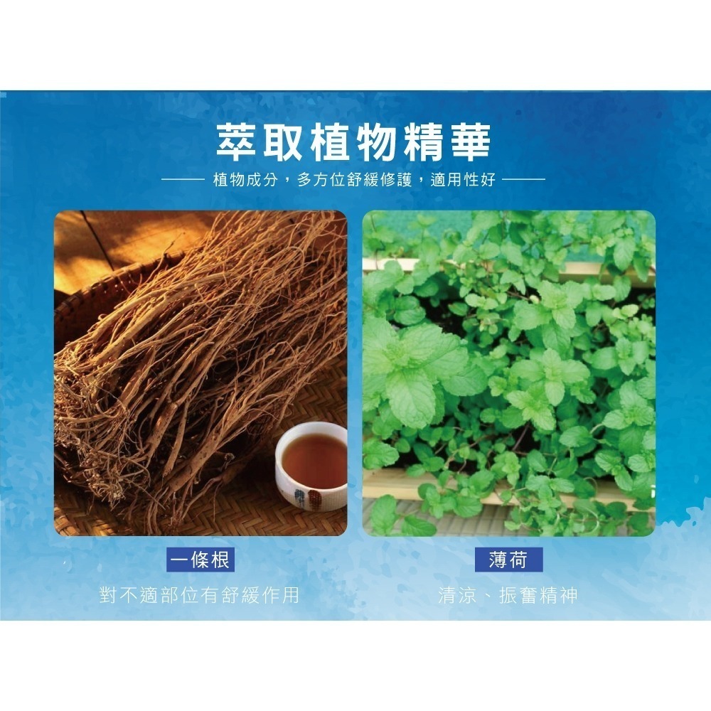 【正金牌】金門一條根隨身舒緩滾珠/噴霧10ML-細節圖8