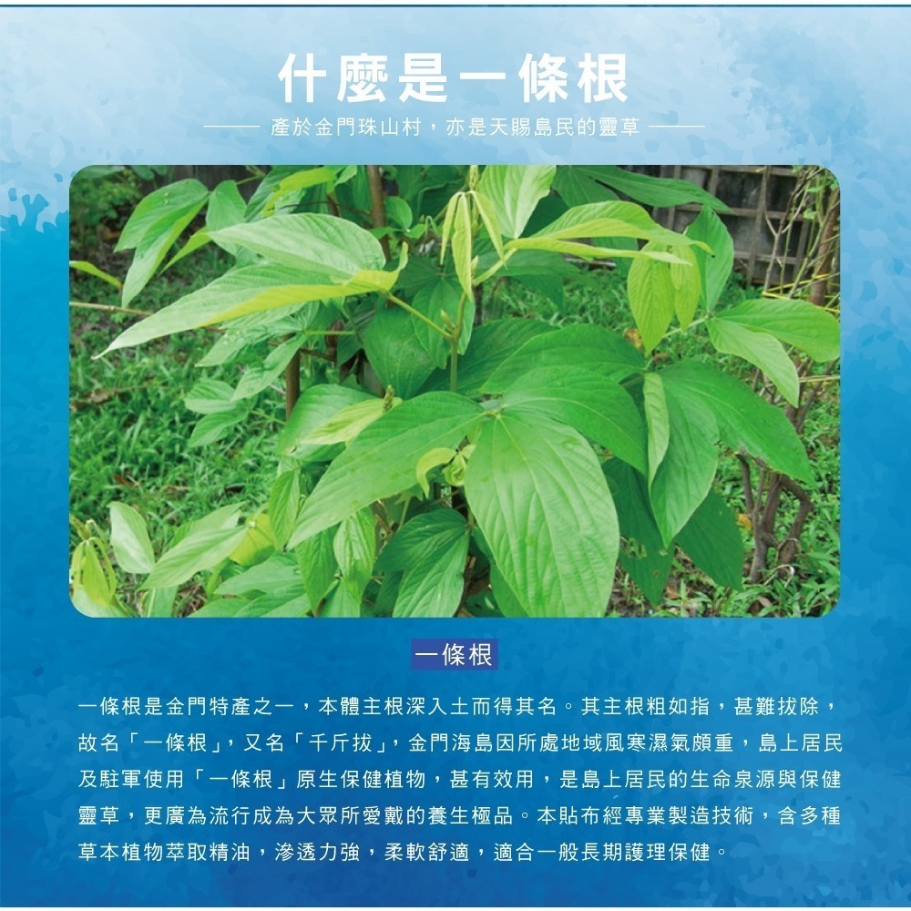 【正金牌】金門一條根隨身舒緩滾珠/噴霧10ML-細節圖9