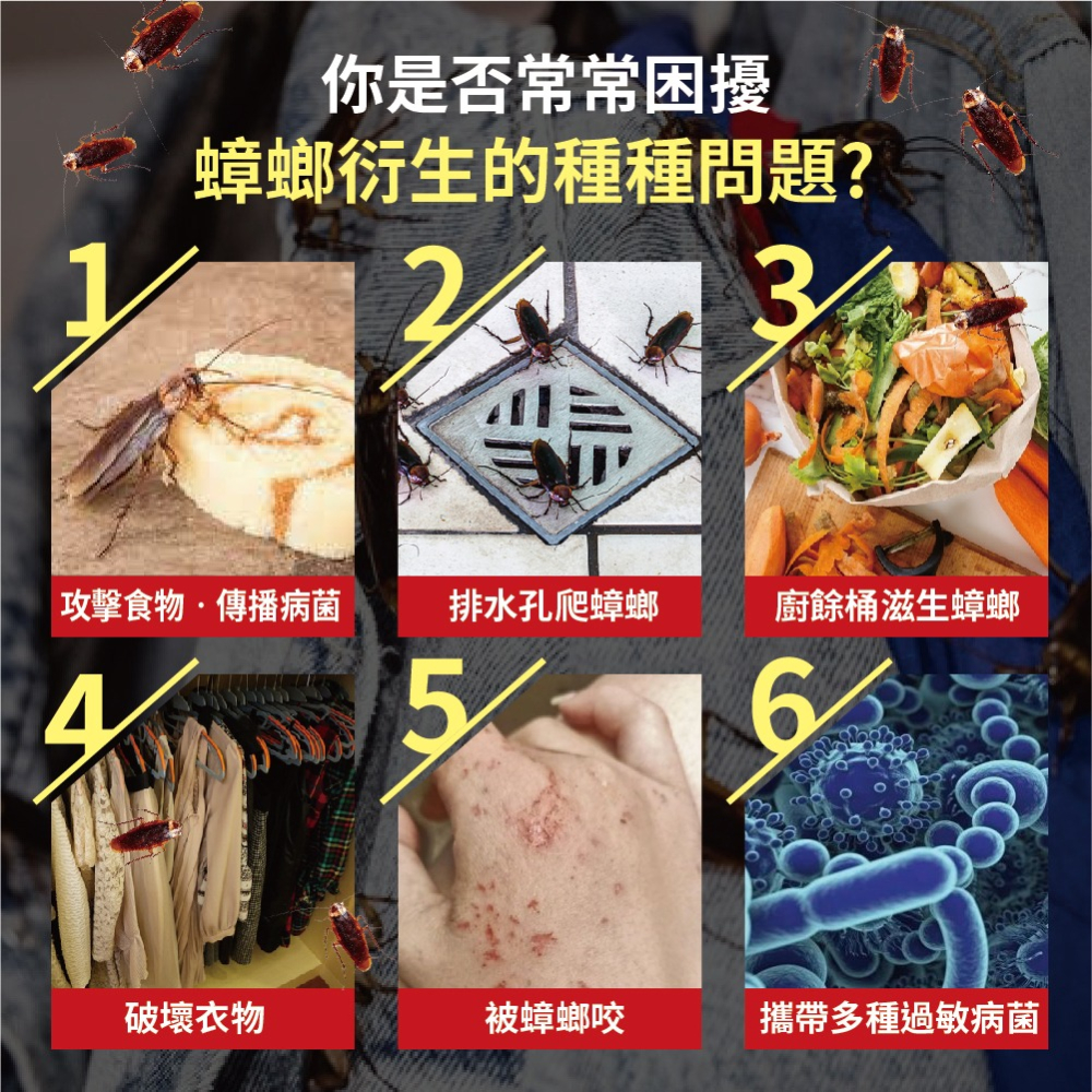 【HAPPY HOUSE】快樂屋蟑螂螞蟻噴劑10ML-細節圖4