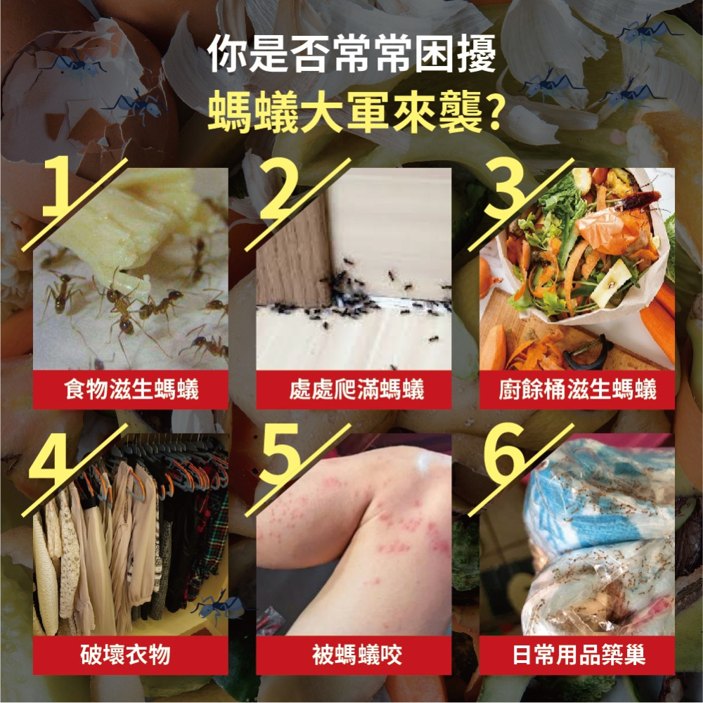 【HAPPY HOUSE】快樂屋蟑螂螞蟻噴劑10ML-細節圖8