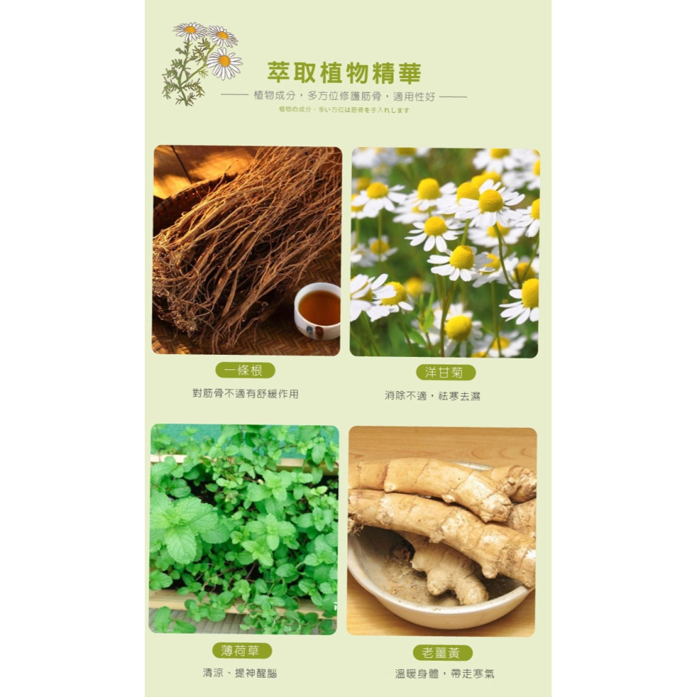 【十八羅漢】一條根按摩精油霜 50G-細節圖6