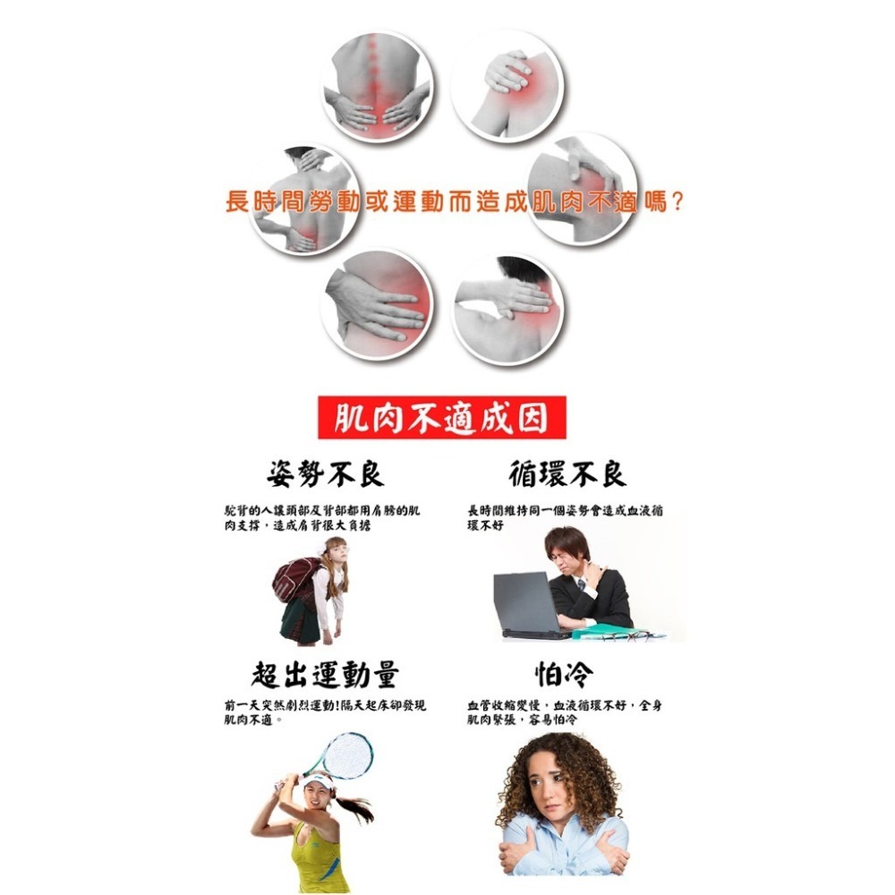 【龍金牌】金門一條根超大精油貼布(大尺寸)-8片-細節圖4