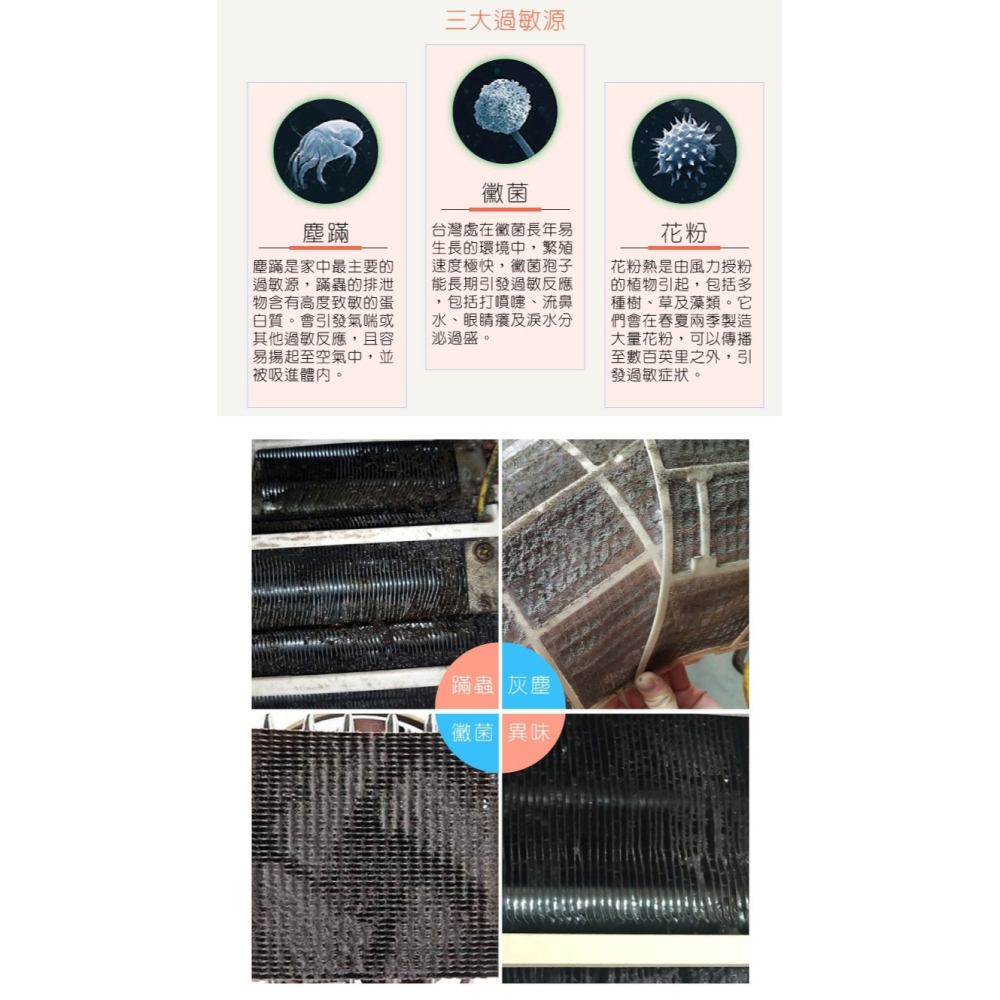 【HAPPY HOUSE】空調冷氣清潔劑-1入(450ML)-細節圖4