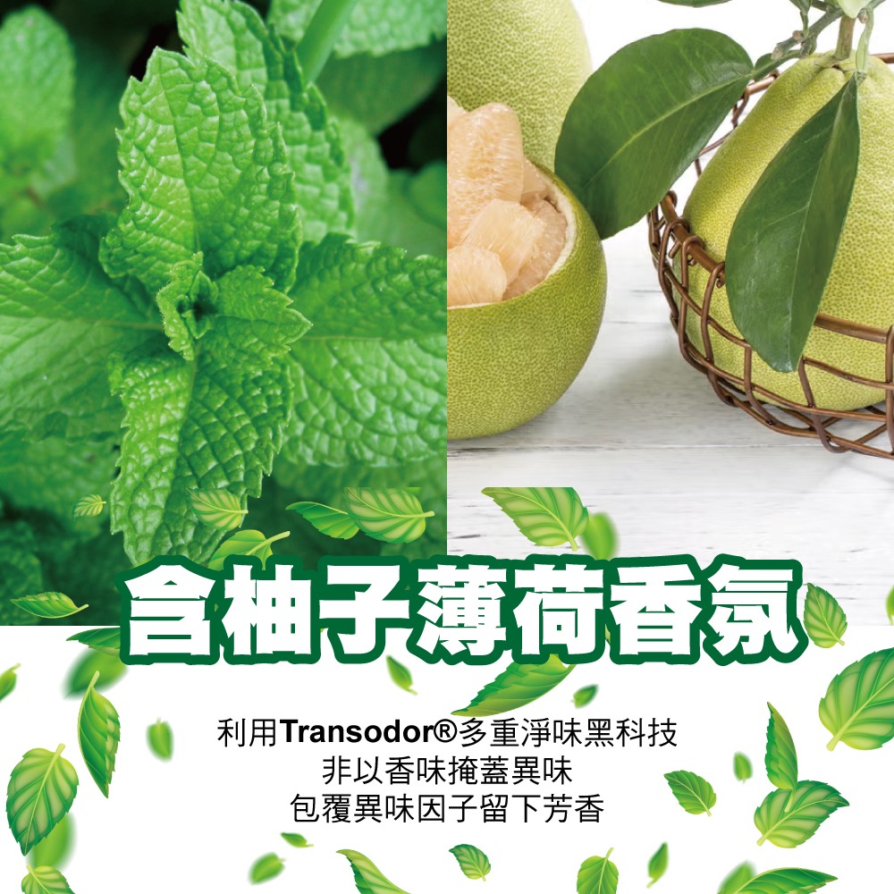 【SPORTER運動人】快樂腳鞋用乾爽奈米噴霧300ML-細節圖4