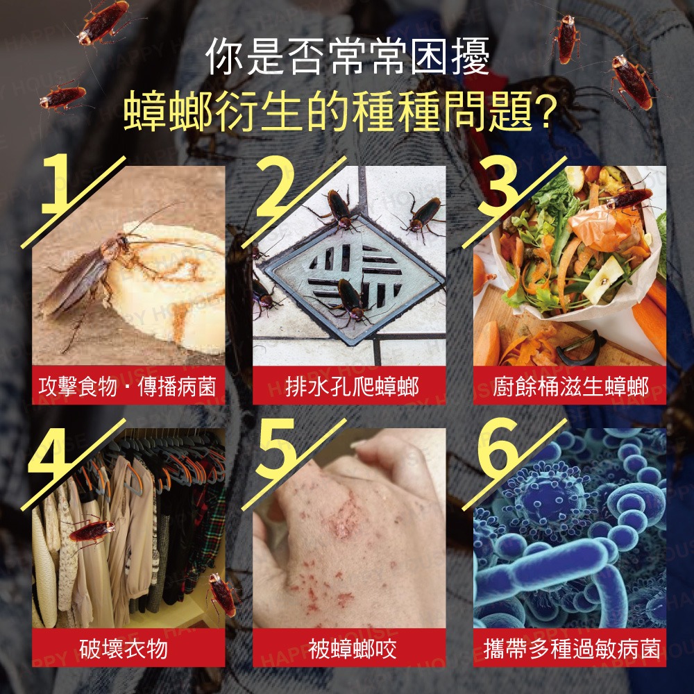 【HAPPY HOUSE】揪緊蟑蟑螂剋星 100G-細節圖2