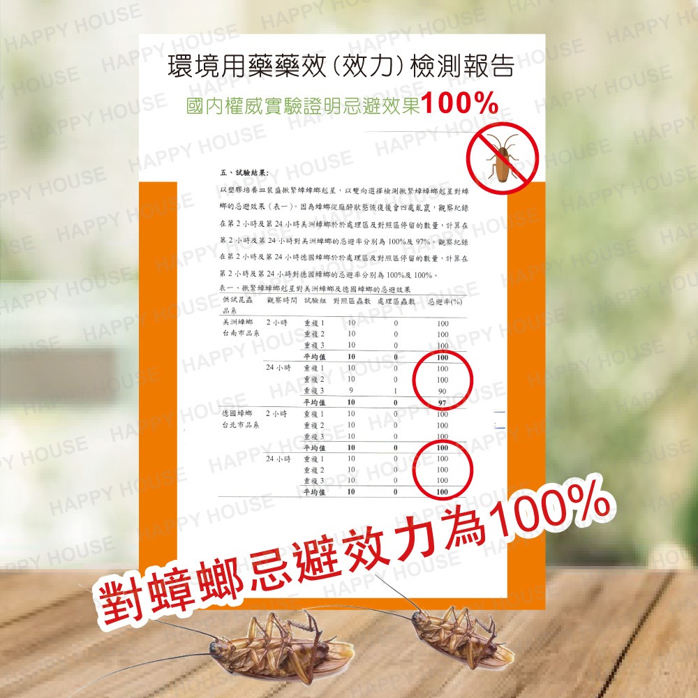 【HAPPY HOUSE】揪緊蟑蟑螂剋星 100G-細節圖8