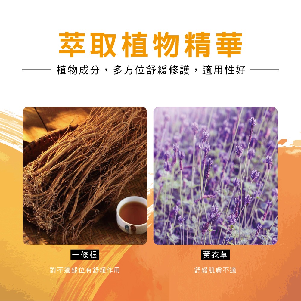 【虎王金牌】一條根精油貼布EX加強版(紅-清涼舒緩/黃金薑-溫熱感)-細節圖7