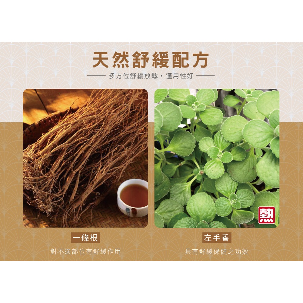 【正金牌】金門一條根舒緩貼布10片(涼/熱)加強版-細節圖10