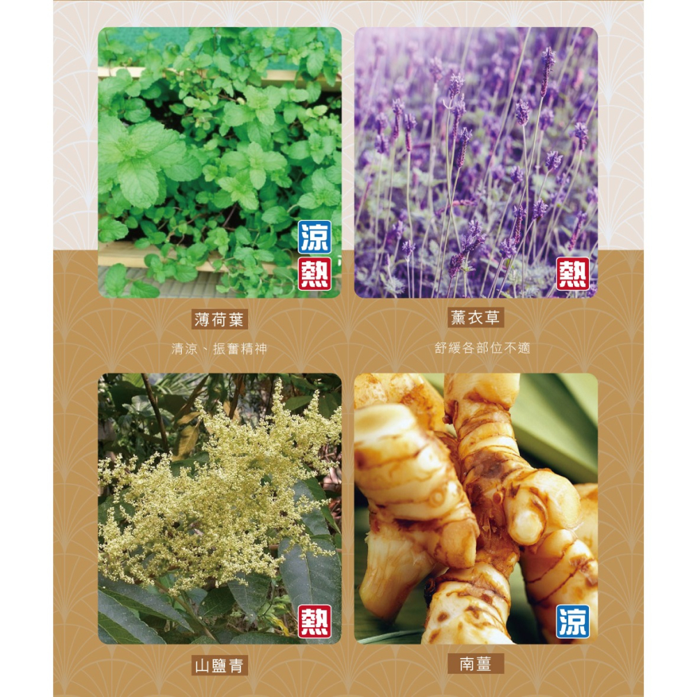 【正金牌】金門一條根舒緩貼布10片(涼/熱)加強版-細節圖11