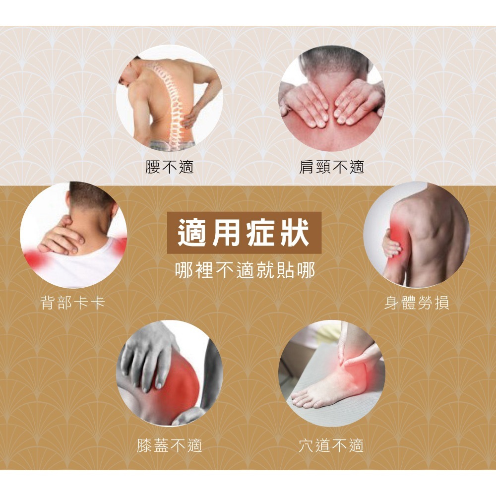 【正金牌】金門一條根舒緩貼布10片(涼/熱)加強版-細節圖7