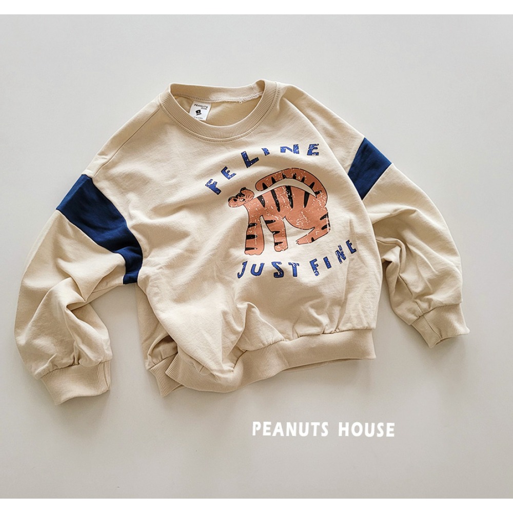 秋季薄款老虎 T-規格圖7