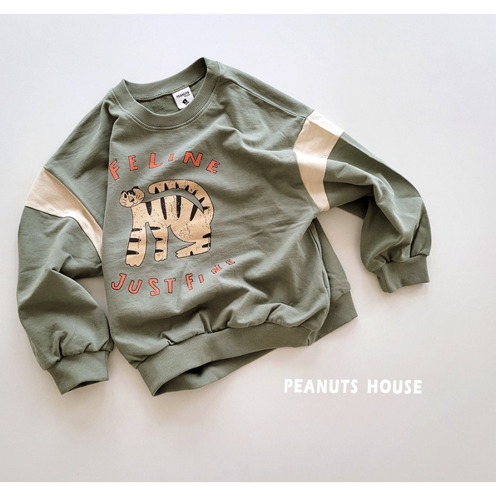 秋季薄款老虎 T-規格圖7