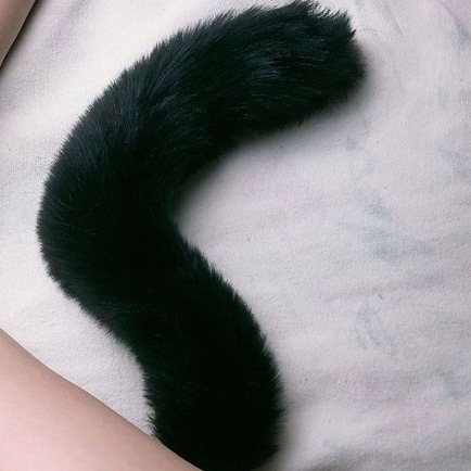 午夜衣櫥🌹現貨🔥肛塞 狐狸尾巴 尾巴肛塞 BDSM 調教 後庭塞 金屬肛塞 sm 情趣精品 情趣用品 情趣衣-細節圖4