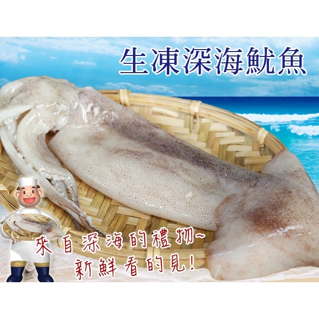【凍好鮮】深海魷魚 (1隻入)-細節圖2