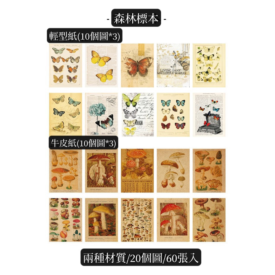 陌境包頭素材本 昨日來信系列 創意復古蝴蝶手帳書寫便簽本-細節圖3