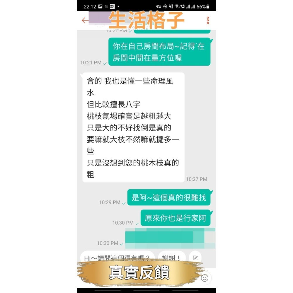 運錸 過爐 招桃花 桃花樹 桃花枝 桃花木 姻緣 月老 戀愛 感情 愛情 紅線 桃花運  桃花 桃枝 命運好好玩-細節圖9
