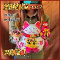 運錸 生活小舖 現貨免運  招財貓 存錢筒 武德宮 過爐 求財 存錢 發財 招財甕 開運招財貓-規格圖5