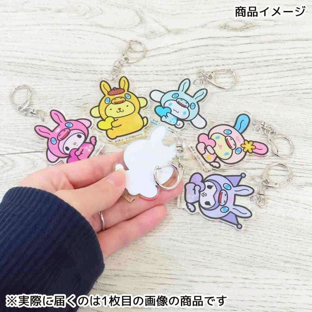 🎈彩虹尾巴🎈三麗鷗&RODY跳跳馬聯名限定壓克力鑰匙圈 KITTY 美樂蒂 酷洛米 大耳狗 布丁狗花小兔 壓克力吊飾-細節圖10