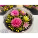 【米米姐柑仔店】天然蒟蒻果凍花5.5吋-規格圖3