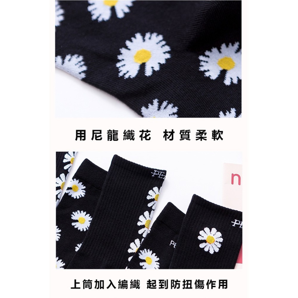 【JDUDS】潮流雛菊中筒襪 潮流 長襪 襪子 造型襪 雛菊襪 菊花 明星同款 男襪 中筒襪 多款可選-細節圖9