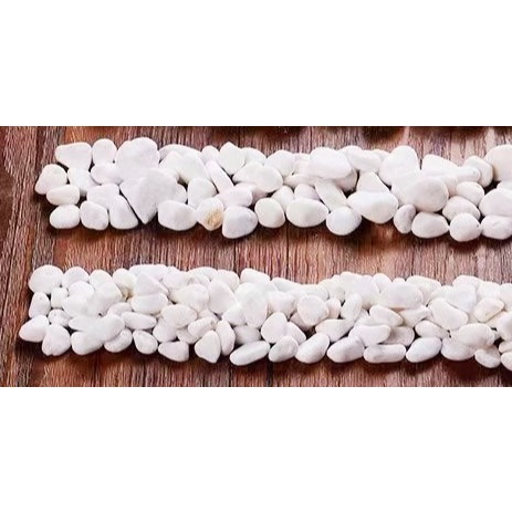 【JDUDS】水族箱底砂 白色石頭 珍珠石 白色鵝卵石 白米石 園藝石頭 多肉介質-細節圖4