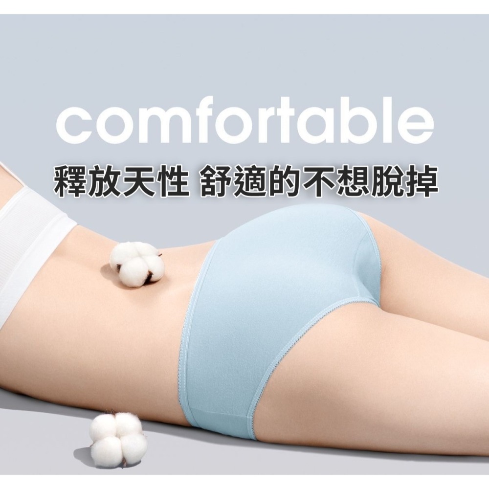 【JDUDS】莫蘭迪一次性棉質內褲 旅行內褲 彩色內褲 衛生內褲 便攜式內褲 醫用內褲 即用內褲 棉質免洗內褲-細節圖3