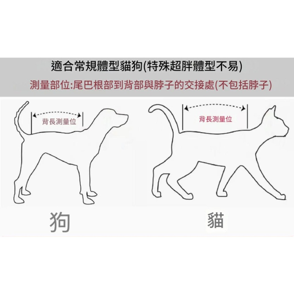 【JDUDS】狗狗紋身衣 狗衣服 小狗衣服 四角衣 黑道狗狗衣 刺青狗狗衣 寵物用品 法鬥 柯基 惡霸 巴哥-細節圖3