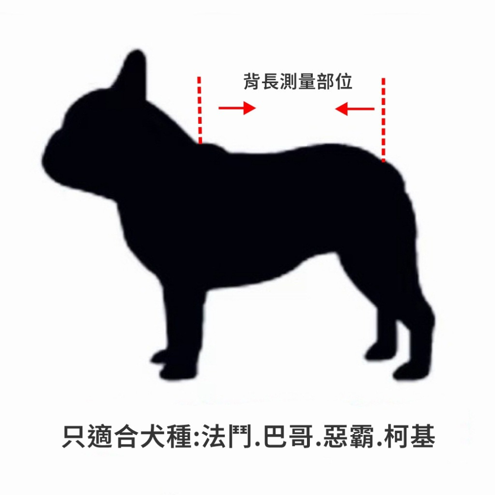 【JDUDS】狗狗紋身衣 狗衣服 小狗衣服 四角衣 黑道狗狗衣 刺青狗狗衣 寵物用品 法鬥 柯基 惡霸 巴哥-細節圖4