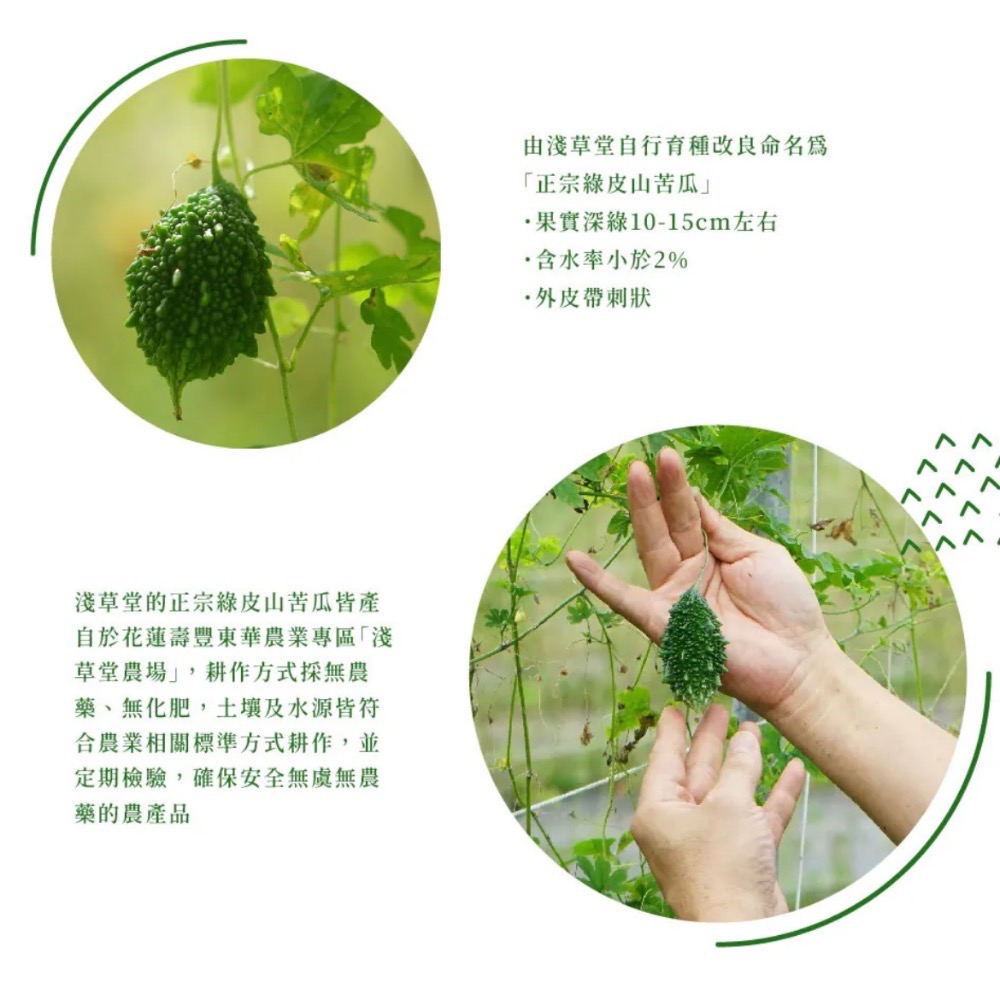 淺草堂·山苦瓜膠囊「🔺120粒」｜正宗綠皮｜純天然無添加｜新包裝✨最新效期-細節圖6