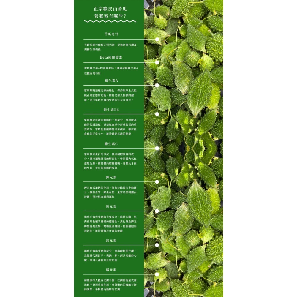 淺草堂·山苦瓜膠囊「🔺120粒」｜正宗綠皮｜純天然無添加｜新包裝✨最新效期-細節圖7