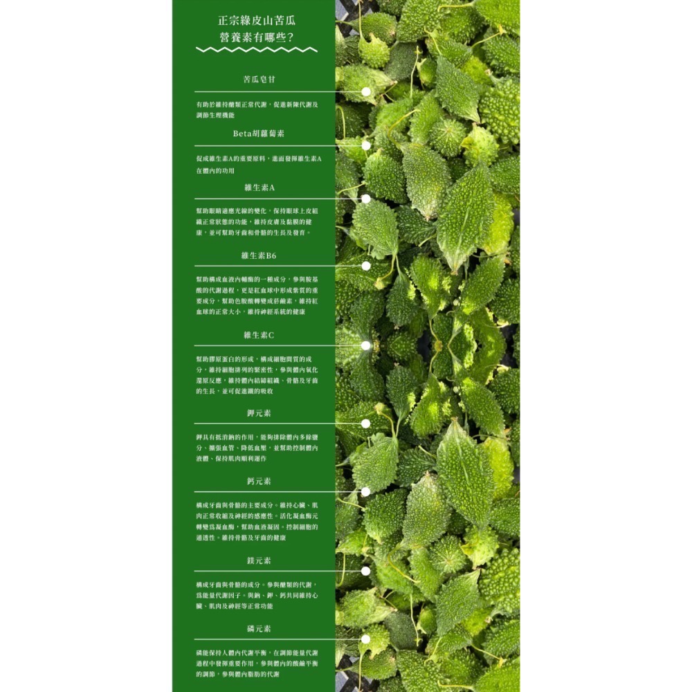 淺草堂·有機山苦瓜粉｜正宗綠皮｜純天然無添加｜山苦瓜第一領導品牌⎪銷售冠軍🏆-細節圖8