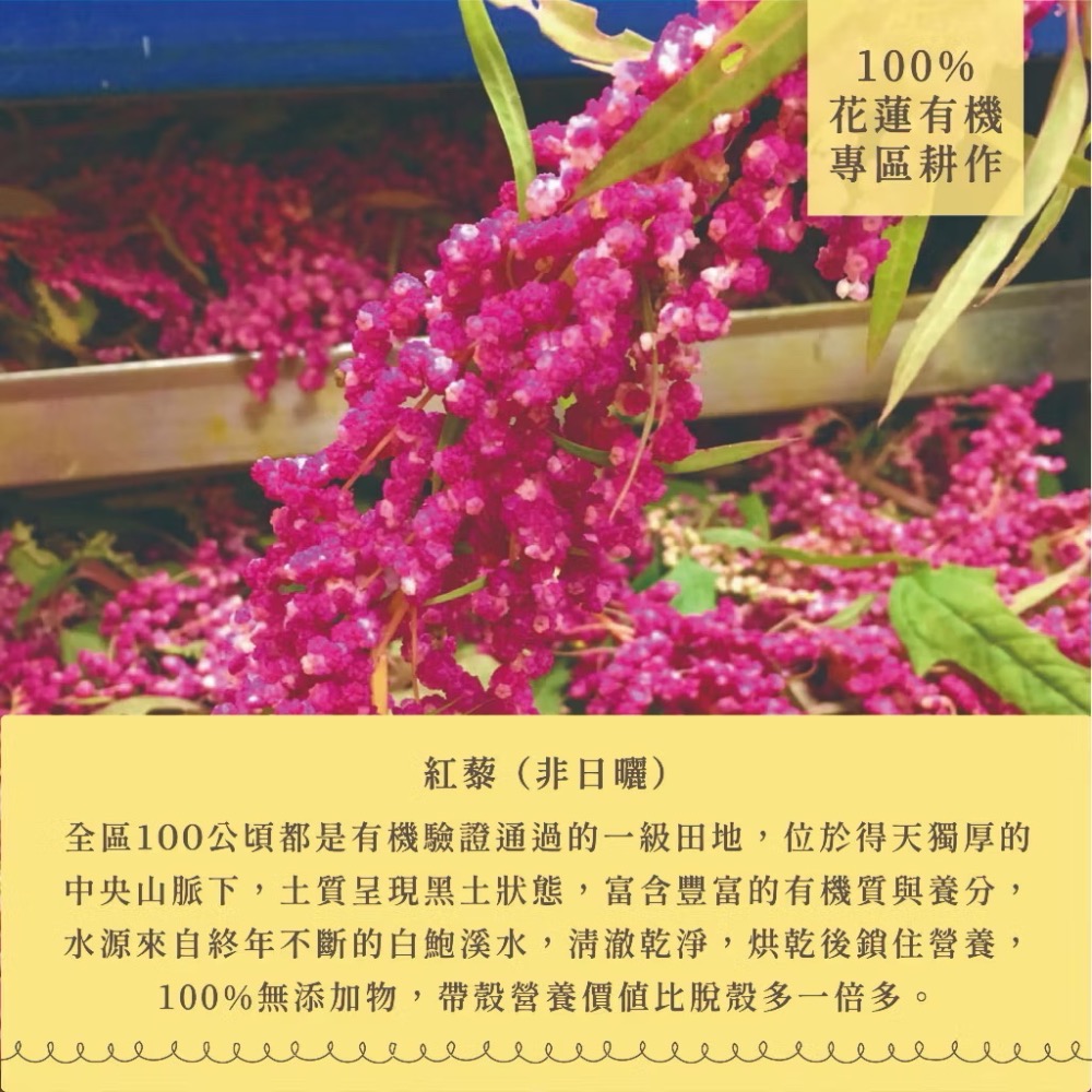 淺草堂·有機紅藜⎪純天然無添加⎪豐富膳食纖維｜煮飯專用-細節圖5