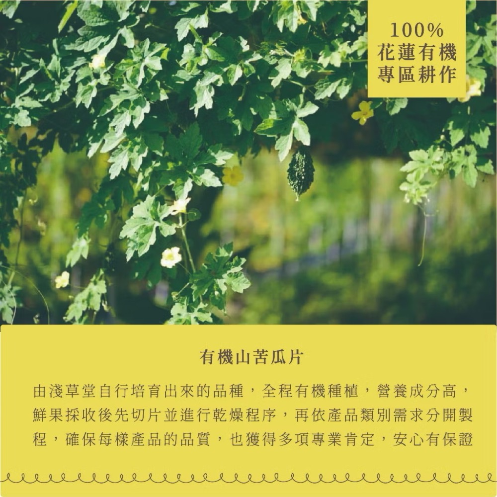 淺草堂·有機山苦瓜片｜散裝「🔺1 台斤」⎪正宗綠皮⎪純天然無添加⎪山苦瓜第一領導品牌⎪銷售冠軍🏆-細節圖3