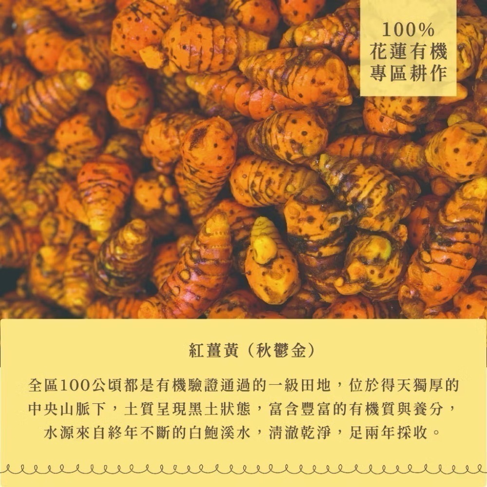 淺草堂·紅薑黃粉膠囊「🔺100粒」⎪純天然無添加｜新包裝✨最新效期-細節圖3