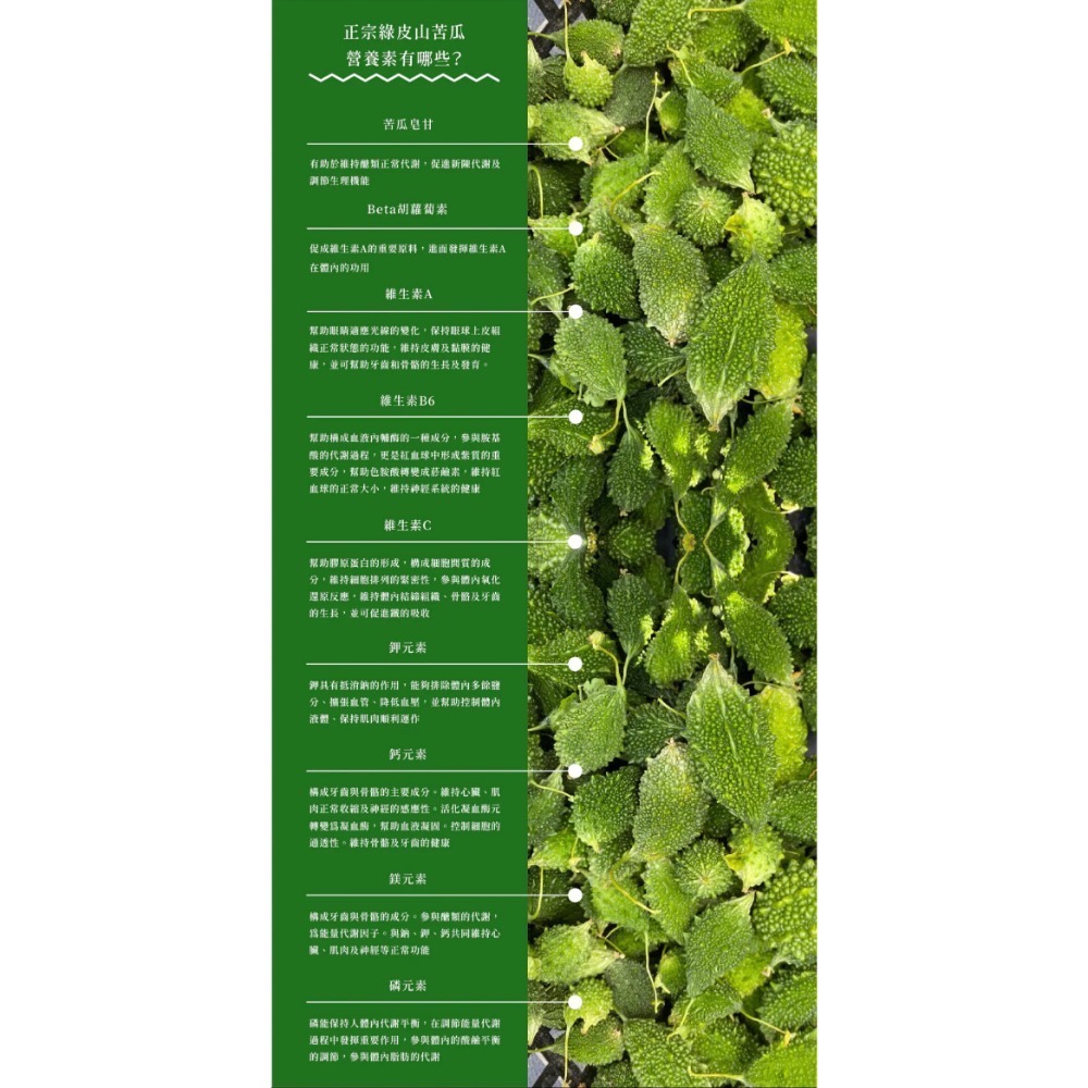 淺草堂·山苦瓜飲料｜820ml專屬箱｜全新上市✨免運-細節圖6