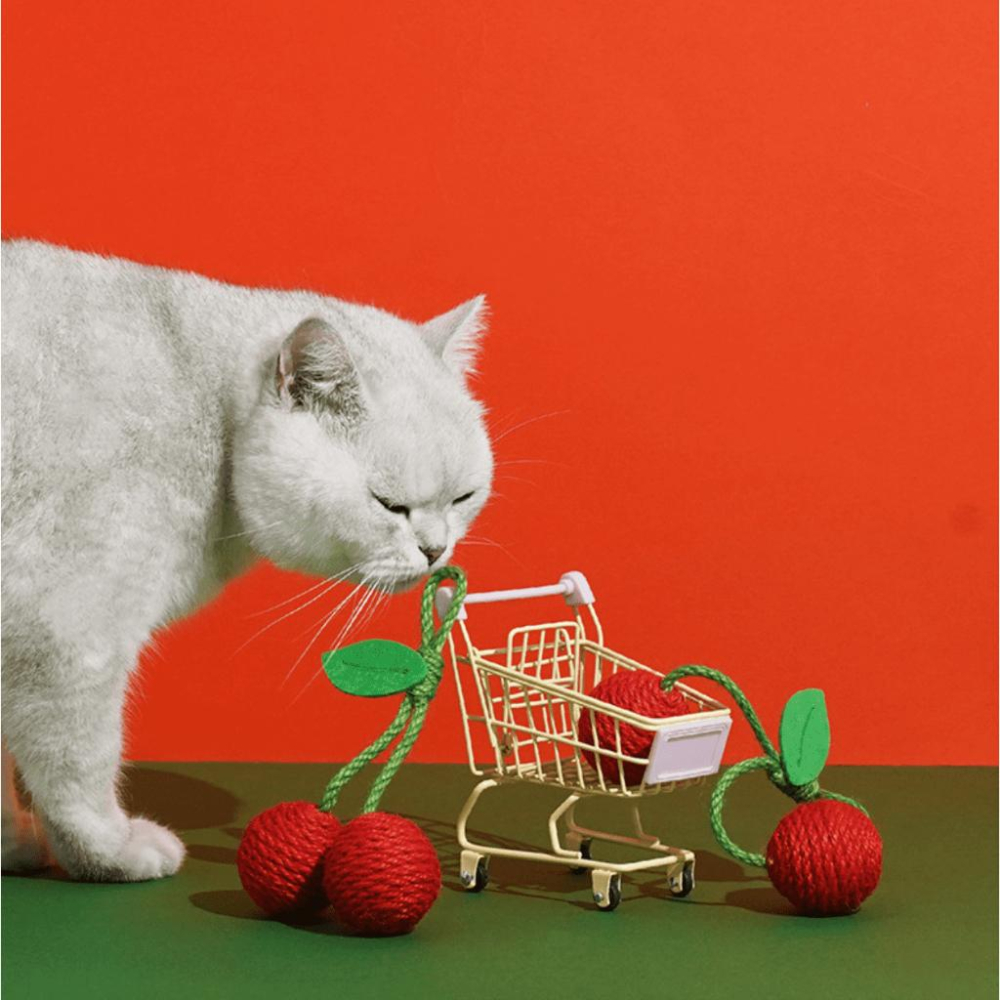 喜吧！貓咪玩具 劍麻球 木天蓼（一件免運）貓劍麻球 貓玩具 自嗨玩具 藏食玩具 麻球 貓咪球 寵物玩具 ZEZE-細節圖2