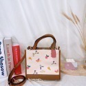 美國代購 台灣現貨 Coach Dempsey 22 香布蕾 紙袋包 小托特 手提包 斜背包-規格圖10