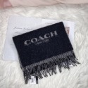 美國代購🇺🇸台灣現貨 Coach 羊毛圍巾-規格圖4