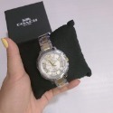 美國代購🇺🇸台灣現貨 Coach 玫瑰金 腕錶 女用手錶-規格圖7