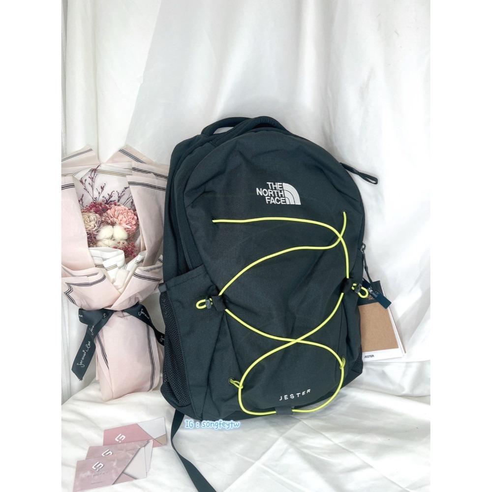 美國代購🇺🇸台灣現貨 The north face 北臉 後背包-細節圖2