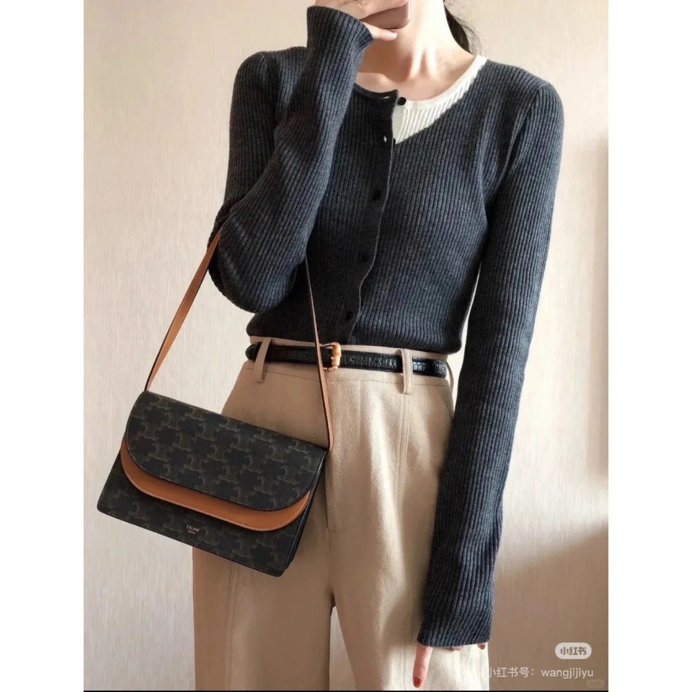 歐美代購 台灣現貨 Celine 經典 風琴 Woc-細節圖8
