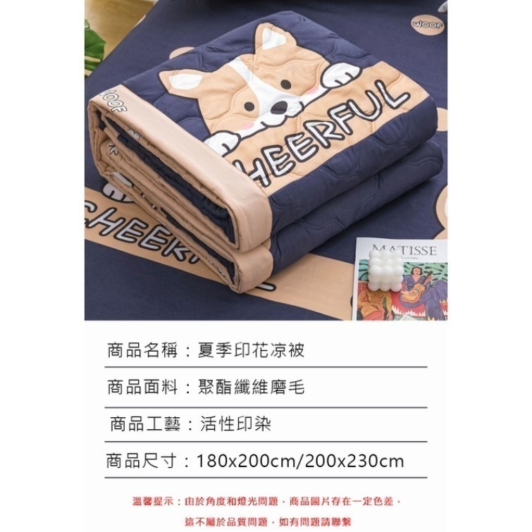 ▼新品超便宜▼夏日加大印花涼被 冷氣被 鋪棉薄被 四季涼被 水洗被 棉被 雙人加大 雙人 200x230CM 可愛圓角-細節圖8