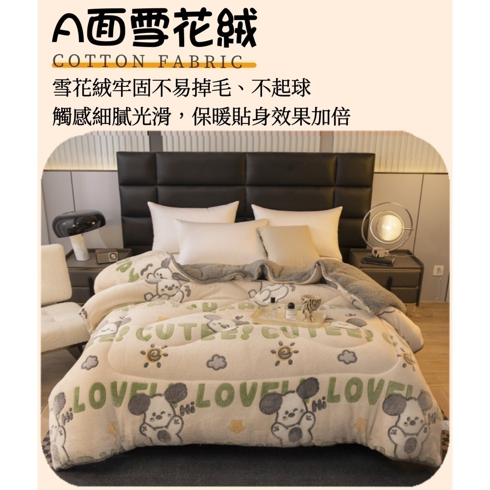 現貨+預 雪花絨羊羔絨冬被 被子 暖暖被 棉被 冬天保暖 柔軟舒適親膚 200*230cm 寒冬棉被-細節圖4