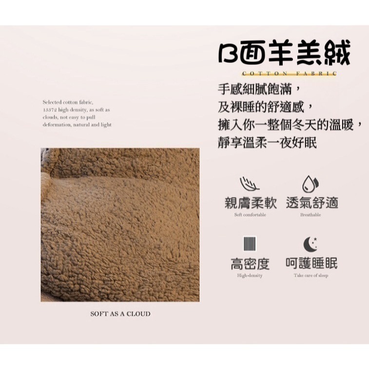現貨+預 雪花絨羊羔絨冬被 被子 暖暖被 棉被 冬天保暖 柔軟舒適親膚 200*230cm 寒冬棉被-細節圖5