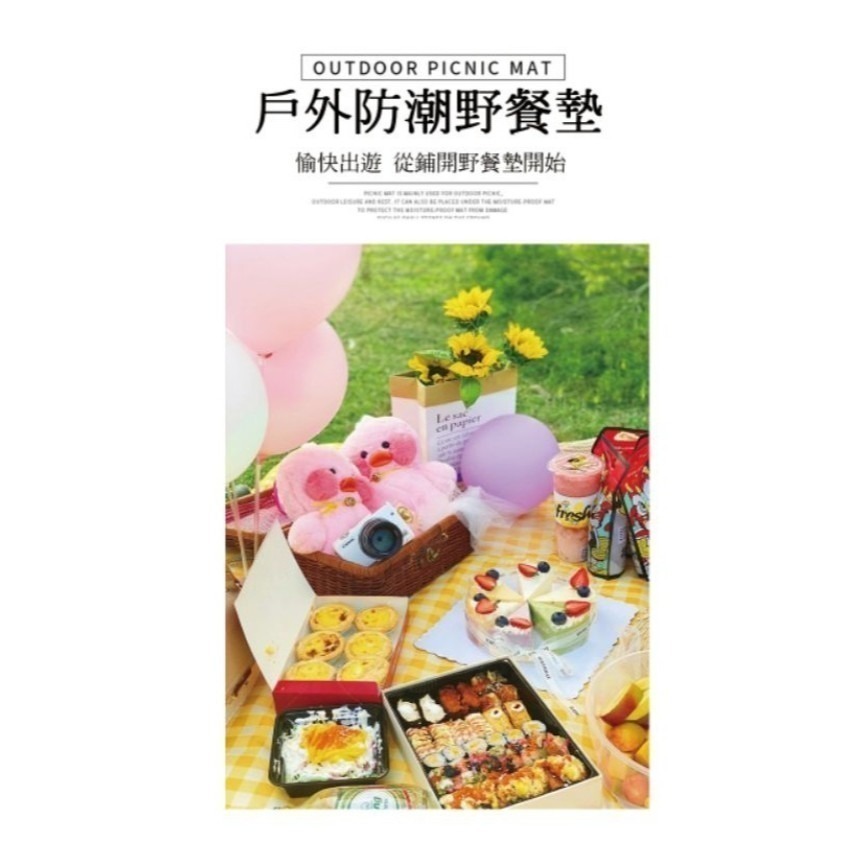 現貨出清 台灣出貨 2*2米加大野餐墊 格紋 無印風 超大加厚野餐墊 公園野餐 沙灘 摺疊收納 方便攜帶-細節圖2