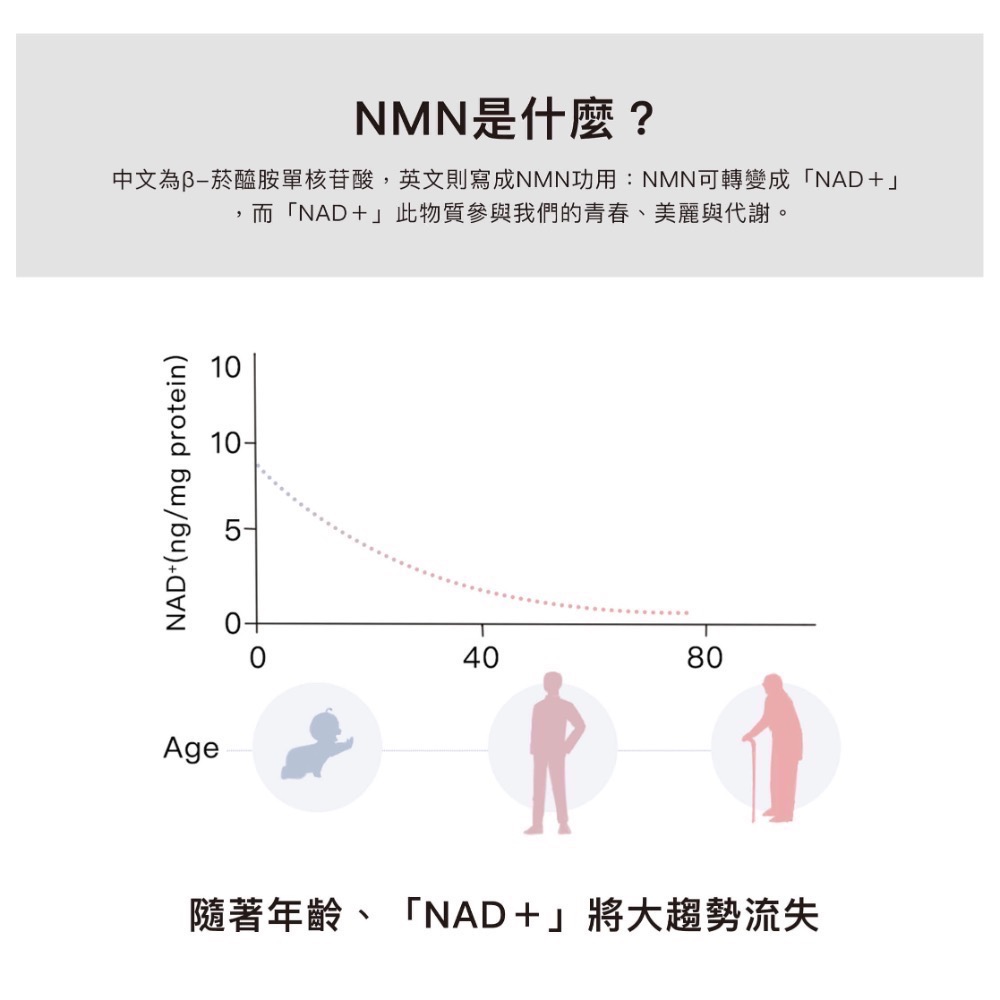 NMN胜肽膠原-細節圖4