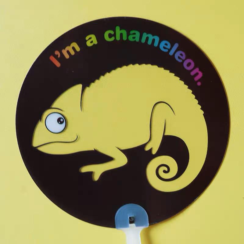 現貨 顏色認知變色龍手舉牌兒童蒙氏感官啓蒙課堂遊戲益智玩具-細節圖2