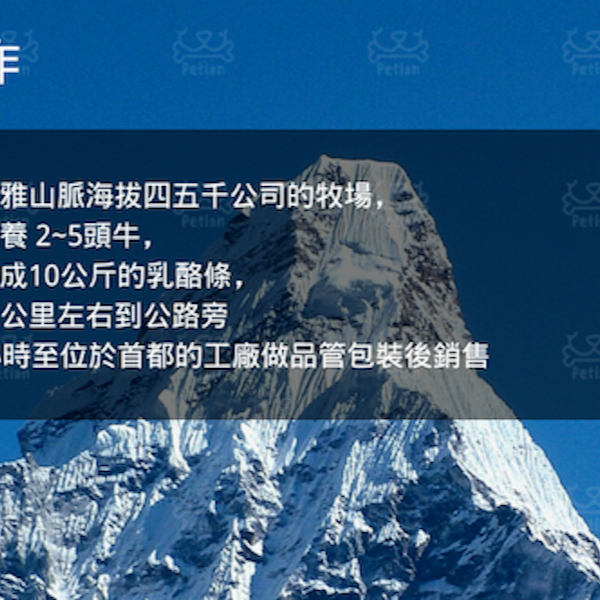 Petian 氂牛起司棒 200公克 多條超值裝 氂牛棒 潔牙骨 乳酪條 髦牛 犛牛起司棒 犛牛起士 毛牛起司棒-細節圖4